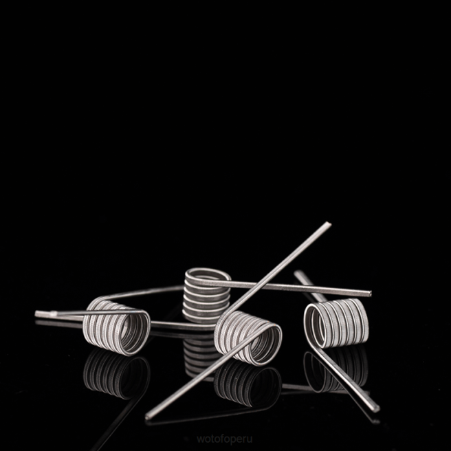 Wotofo bobina prefabricada de identificación Clapton fusionado de doble núcleo 0,65 ohmios 5mm 5 uds. D66P347 Wotofo Cigarro Eletronico