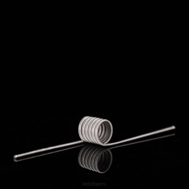 Wotofo bobina prefabricada de identificación Clapton fusionado de doble núcleo 0,65 ohmios 5mm 5 uds. D66P347 Wotofo Cigarro Eletronico